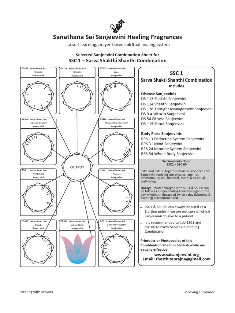 Sai Sanjeevini Tonic Guide | PDF | Medicine | Health Care