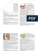 fICHA 3ERO EXPLICACIÓN OBRAS DE MISERICORDIA