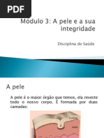 diapositivos_a pele