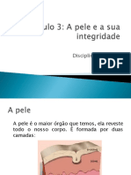 diapositivos_a pele
