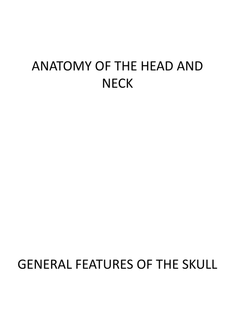 Head and Neck Anatomy Overview | PDF