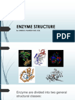 Structure of Enzyme