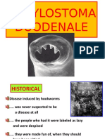 Ankylostoma Duodenale-2