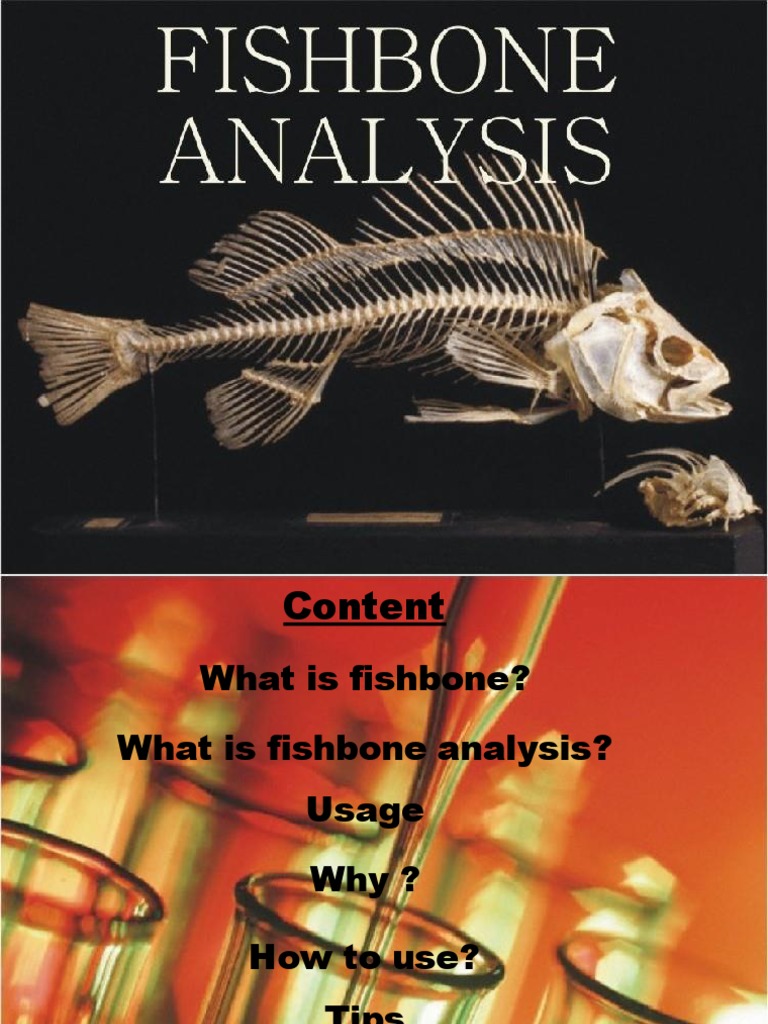 Fish Bone | PDF | Causality | Psychological Concepts