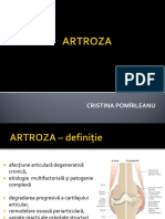 artroza.ppt