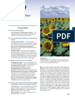 Photosynthesis(1).pdf