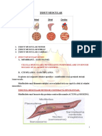 CURS Anatomie 30.10.2019.docx