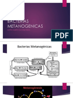 Bacterias Metanogenicas