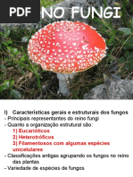 Reino Fungi (1)