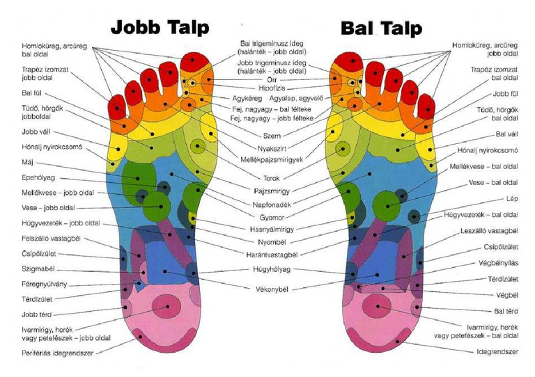 A Talp Terkepe | PDF