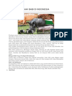 Sejarah Ternak Babi Di Indonesia