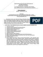Pengumuman-CPNS-2019.pdf