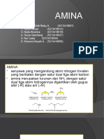 Amines Kleompok 1