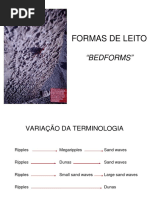 Aula_10_Formas_de_Leito.pdf