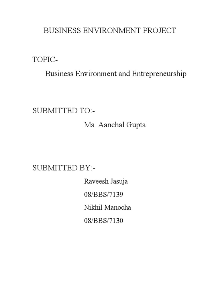 Business Environment Project | PDF | Entrepreneurship | Bankruptcy