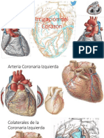 Irrigacion Del Corazon