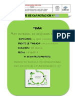 Capacitacion - Ley Integral de RR - SS