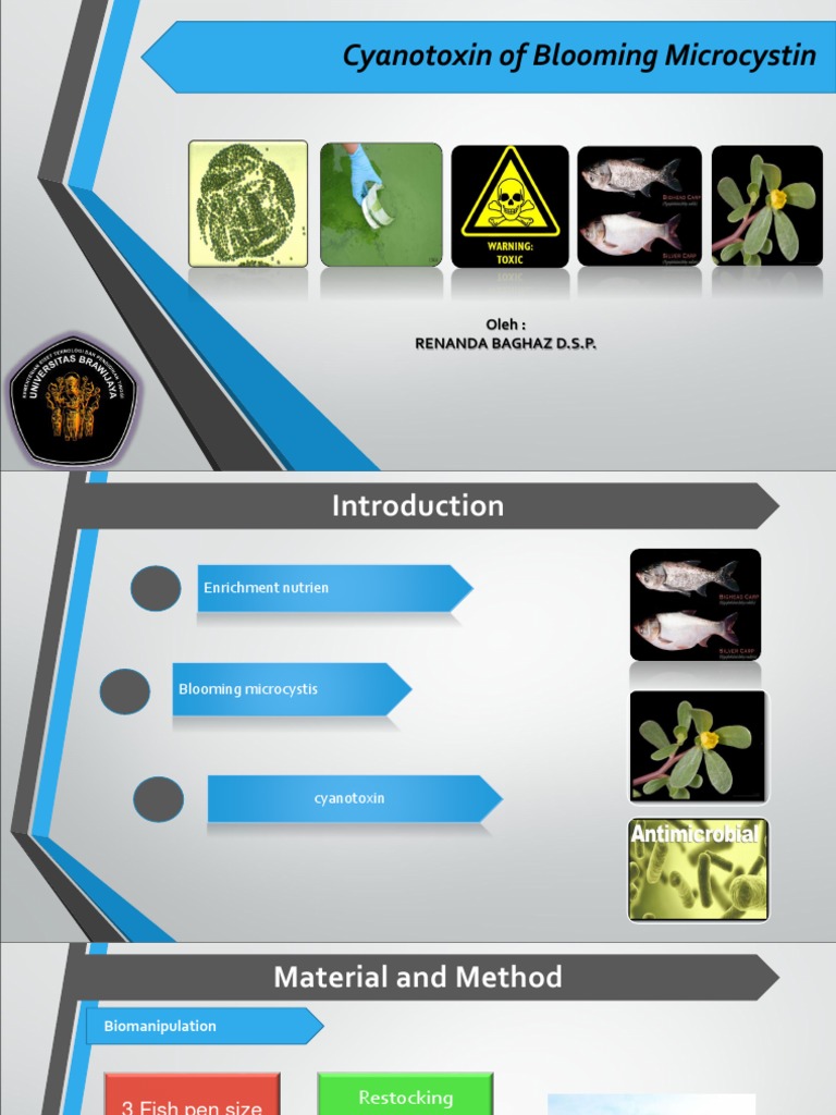 Aquatic Microbiology Pdf Chemistry Nature