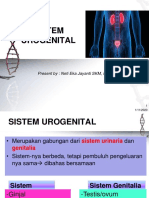 Anfis Uro-Genital.pptx