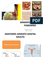 Aparato Genital Femenino 1