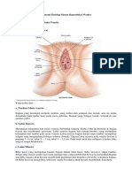 Anatomi_Fisiologi_Sistem_Reproduksi_Wani.docx