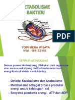 Metabolisme Bakteri Yopi MW