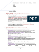 Implicatii Structurale Nervoase in Sfera Psiho