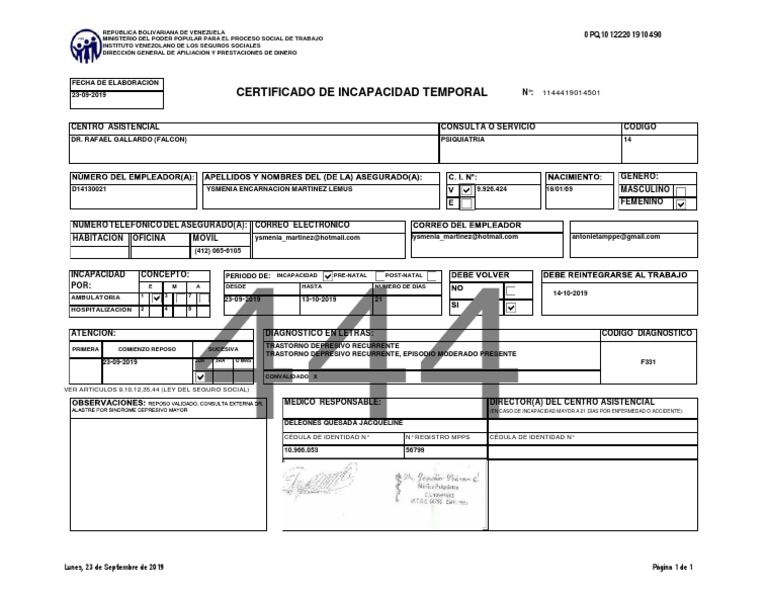 Certificado de Incapacidad Temporal | PDF | Bienestar | Medicina