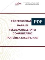 Profesiograma 2 19 Actualizacion