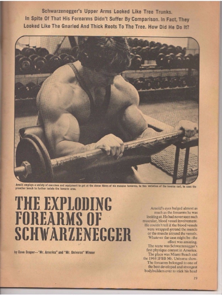 Arnold eBook por Arnold Schwarzenegger - EPUB Libro