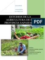 Prácticas Sapahaqui - Transformación y Comercialización (Corregido)