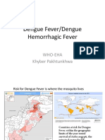 Presentation On Dengue Fever