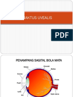 5 - IPM Mata 3b