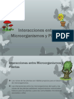 interaccionpresentaciondemicrobiologia-121119032346-phpapp01 (1).pptx