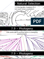 AP Biology - 7.9 - Phylogeny