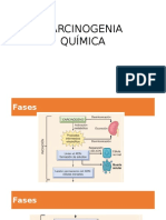 Carcinogenia Química