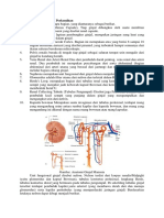 Anatomi Fisiologi Sistem Perkemihan.docx