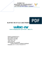 WISC-IV-raport-profil-model-EXPERT-PSY-2017
