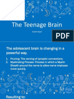 The Teenage Brain NEW VERSION