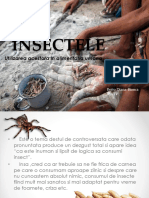 Insectele in alimentatie.pptx