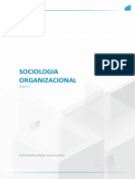 Sociologia ORGANIZACIONAL AULA 5