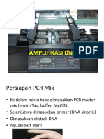 Amplifikasi PCR