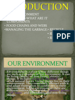 Our Enviroment