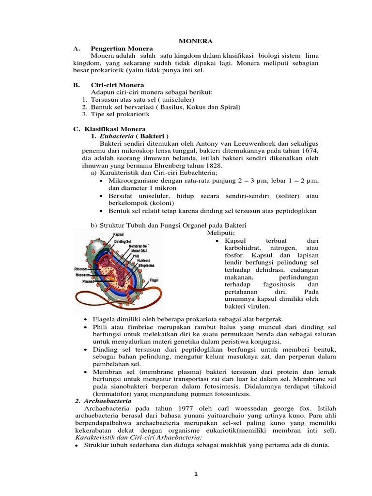 Ciri dan Klasifikasi Monera | PDF | Sains & Matematika | Kesehatan Holistik