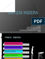 Anatomi Sistem Indera.pptx