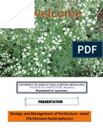 Parthenium