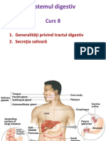 C8 Aparatul Digestiv 1