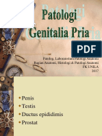 Kul PA-Genitalia Pria- PENIS-TESTIS.pptx