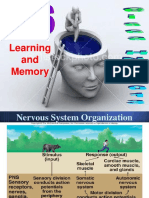 Learning and Memory