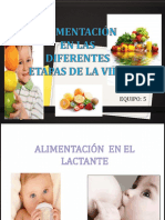 Alimentacion en Las Diferentes Etapas